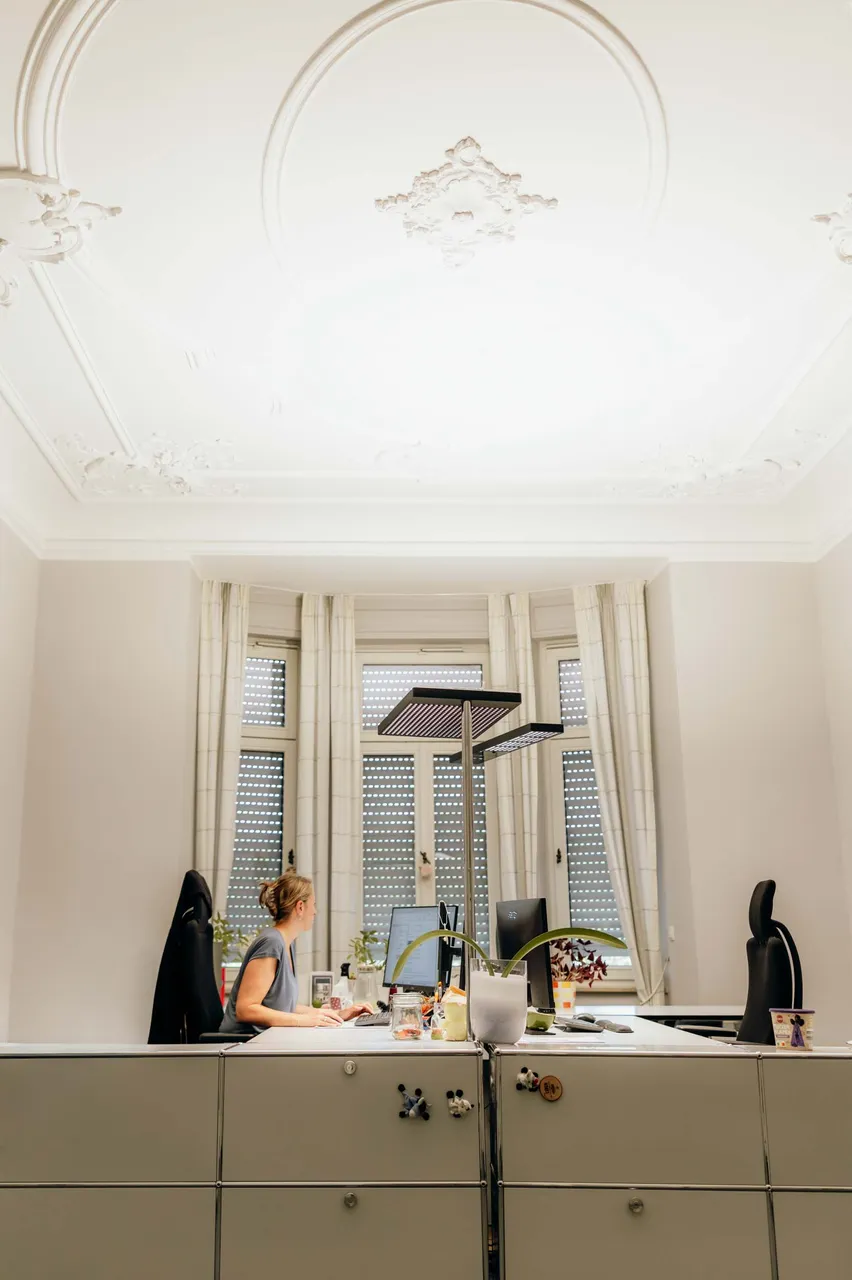 Arbeitsplätze am Fenster unter Altbau-Stuck in der Kanzlei RIFA
